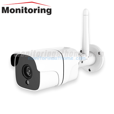 IP Camera Alarm system